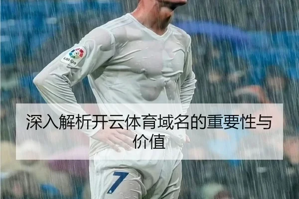 深入解析开云体育域名的重要性与价值